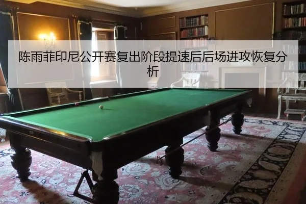陈雨菲印尼公开赛复出阶段提速后后场进攻恢复分析