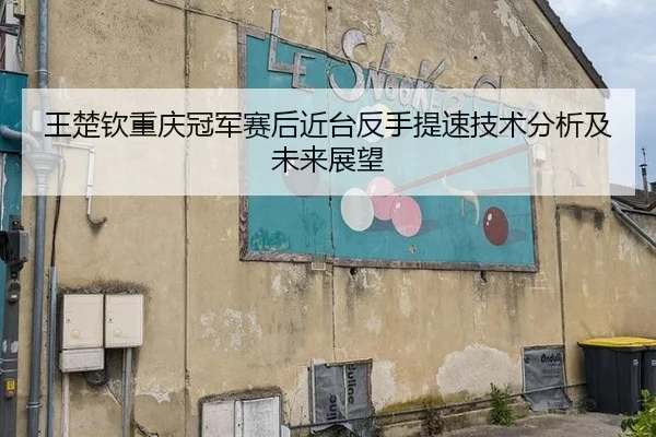 王楚钦重庆冠军赛后近台反手提速技术分析及未来展望